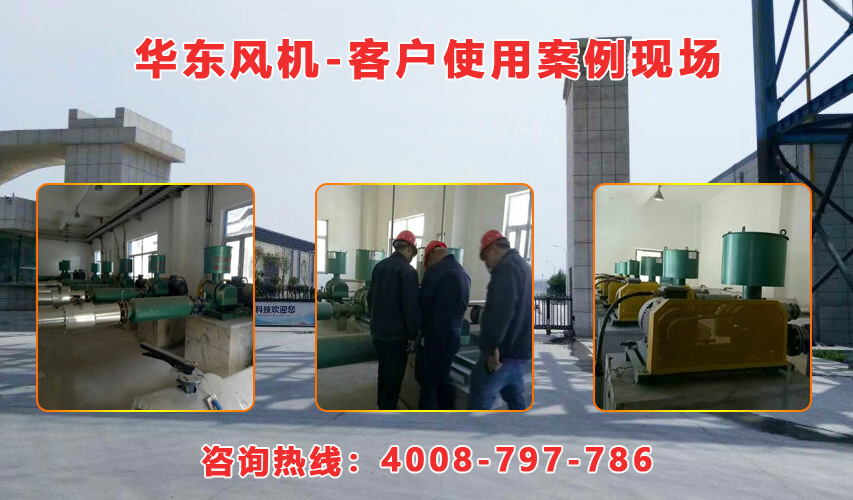 華東內(nèi)蒙古羅茨風(fēng)機(jī)案例-內(nèi)蒙古**生物環(huán)?？萍加邢挢?zé)任公司